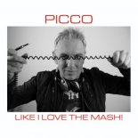 Picco - Like I Love The Mash (Extended Mix)