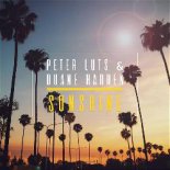 Peter Luts & Duane Harden - Sunshine