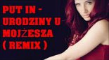 PUT - IN - Urodziny u Mojżesza (Dirty Wave 4fun Bootleg)