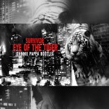 Survivor - Eye Of The Tiger (Johnnie Pappa Bootleg)