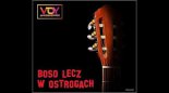 Voy Anuszkiewicz - Boso lecz w ostrogach (2017 acoustic)