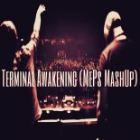 Diverts & Mosquito & Rank 1 - Terminal Awakening (MePs MashUp)