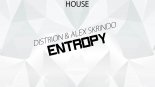 Distrion & Alex Skrindo - Entropy