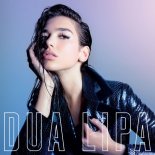 Dua Lipa - New Rules (Ilkay Sencan Remix)