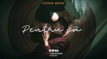 INNA Feat. The Motans - Pentru Ca ( Elemer Remix )