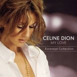 Celine Dion - Because You Loved Me (Lee Keenan Bootleg)