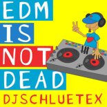 DjSchluetex - Holy Moly