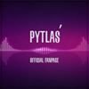 Don Diablo & PlanBe - Te Panny (Pytlas Blend)