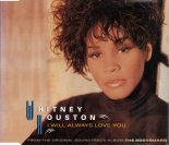 Whitney Houston - I Will Always Love You ( Zumba Remix )