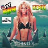 Shakira - Whenever, Wherever (Dj Cry Remix)