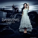 Evanescence - Bring Me To Life (HBz Bounce Remix)