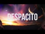 Daddy Yankee & Luis Fonsi - Despacito (Fred & Mykos Mash Up)