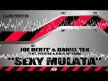 Joe Berte  Daniel Tek Ft. Pee4Tee  R.K.R. de Cuba - Sexy Mulata (Laags Bootleg)