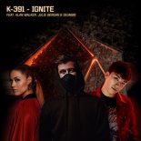 K-391 & Alan Walker - Ignite (feat. Julie Bergan & Seungri) ( Baart'O & Vaan G Bootleg)