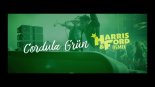 Cordula Grün - Die Draufgänger (HARRIS & FORD REMIX)