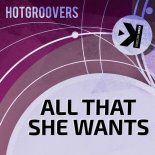 Hotgroovers - All That She Wants (Paky Francavilla Extended Mix)