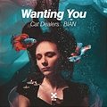 Cat Dealers, BIAN - Wanting You