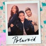 Jonas Blue feat. Liam Payne & Lennon Stella - Polaroid (R3hab Remix)