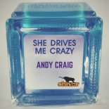 Andy Craig - She Drives Me Crazy (Original Mix)