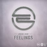 ENiGMA Dubz - Feelings