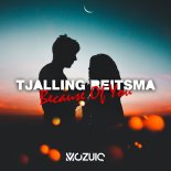 Tjalling Reitsma - Because Of You (Extended Mix)