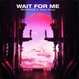 SN0WMASS ft. Mona Moua - Wait for Me