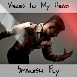 Spanish Fly (feat Aki Starr)- Voices In My Head (Klubjumpers Extended Club Remix)