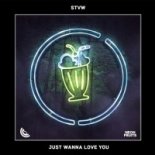 STVW - Just Wanna Love You