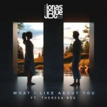 Jonas Blue Ft. Theresa Rex - What I Like About You