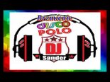 MIX DISCO POLO - Polskie brzmienie ($@nD3R Music)