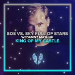 Don Diablo vs. Avicii - King Of My Castle vs. SOS vs. Sky Full Of Stars (WeDamnz Mashup)