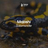 Mojashi - Salamander (Original Mix)