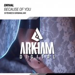 Drival - Because Of You (Extended Mix)