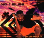 Bushman - No 1 Else (X 10 Ded Mix)