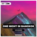 Vinylshakerz x Explo - One Night In Bangkok (SAlANDIR Radio Version)