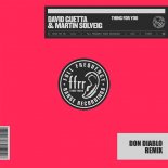 David Guetta & Martin Solveig - Thing For You