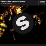 Tom Staar & Brian Cross - Hornets Nest