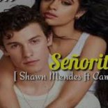 Shawn Mendes feat. Camila Cabello - Señorita (Frizzyboyz Bootleg)