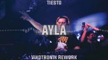 Tiesto - Ayla (Vixotronik Rework 2019)