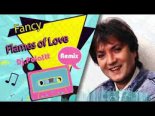 Fancy - Flames Of Love (Dj.Polattt Remix)