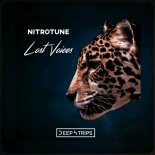 Nitrotune - Lost Voices (Original Mix)