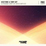 Vicetone & Tony Igy - Astronomia (Drop The Cheese Bootleg)