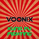 Voonix - Kung Fu Fighting (Dance Radio Mix)