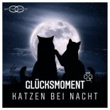 Glücksmoment - Katzen bei Nacht (Jason Parker Extended Mix)