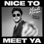 Niall Horan - Nice To Meet Ya (Diplo Remix)