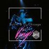 Zivert - Beverly Hills (Sulim & Dj Chicago Remix) Radio Edit