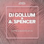 Dj Gollum - In The Shadows 2k19  (Blaikz & David Jedom Remix)