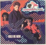 The Thompson Twins - Hold Me Now