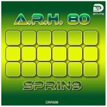 A.r.h. 80 - Spr1n9 (Original Mix)