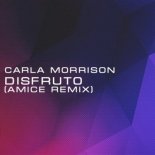 Carla Morrison - Disfruto (Amice Remix)